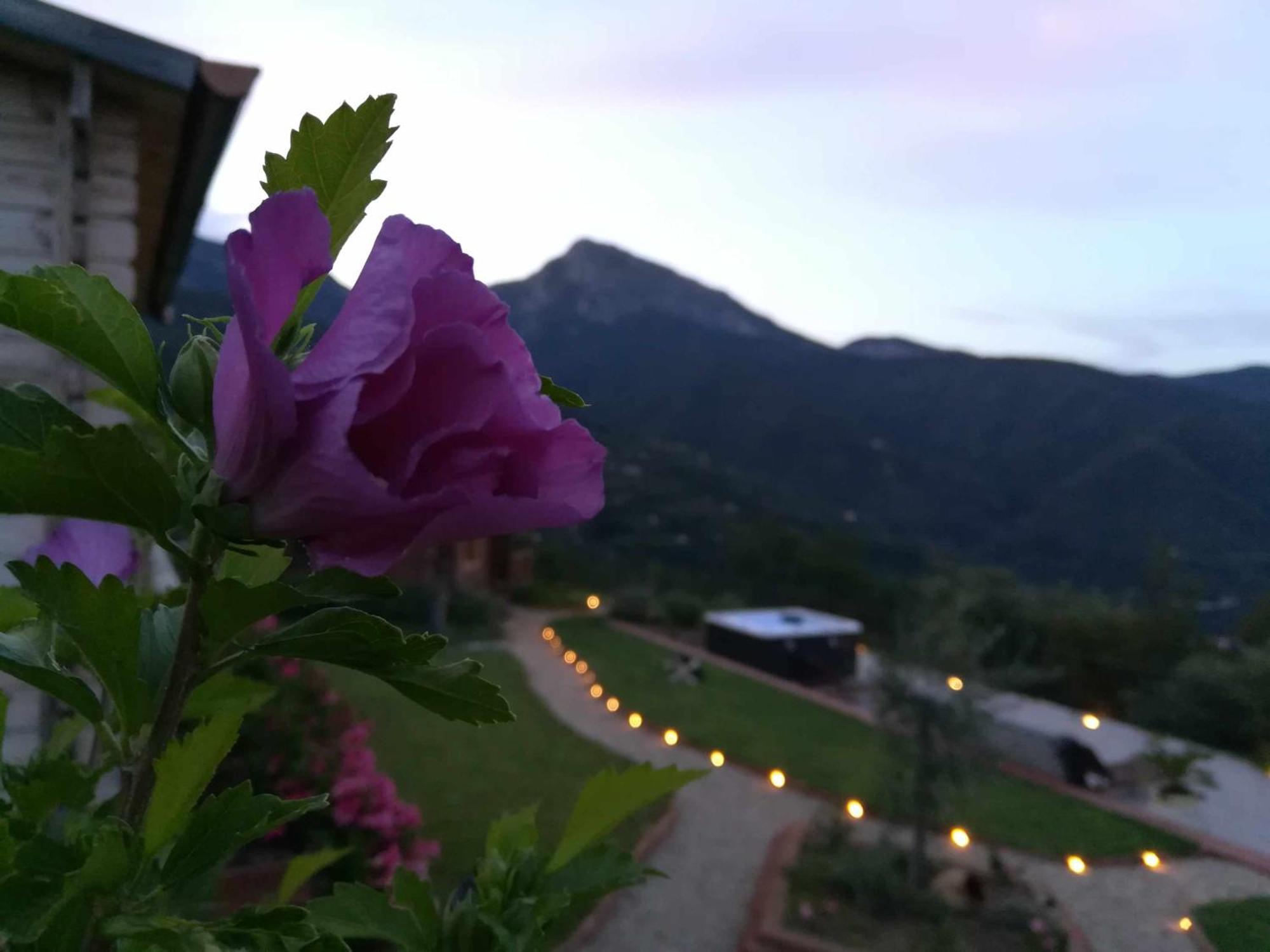 Agriturismo Al Pagan Pigna Exterior foto